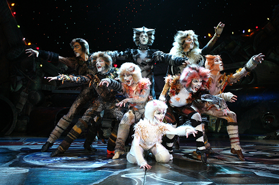 MUSICAL CATS - FOTO: DIVULGAÇÃO