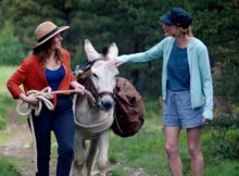 MINHAS FÉRIAS COM PATRICK - FOTO: DIVULGAÇÃO