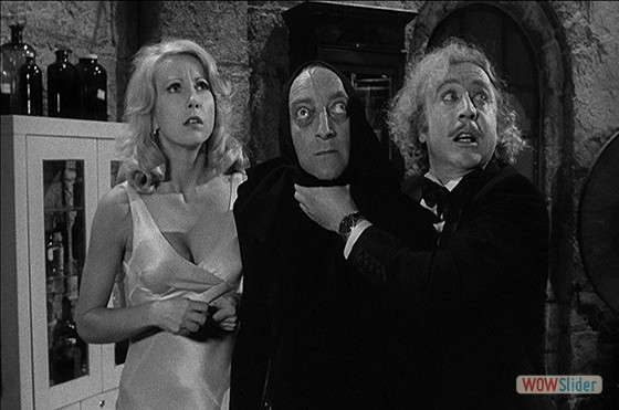 13.O Jovem Frankenstein (1974)
