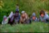 6. Monty Python em Busca do Cálice Sagrado (1975) 