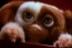 6.Gremlins (1984)